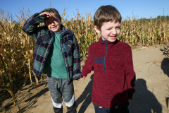 Two young boys standing in a cornfield.